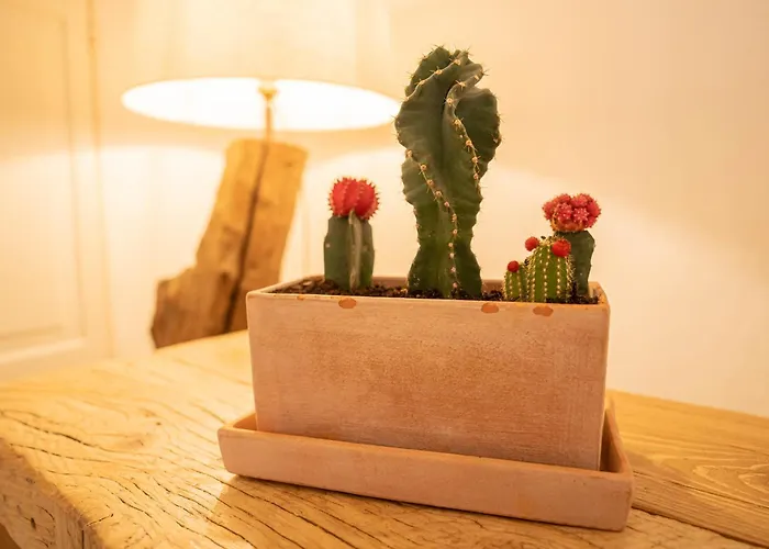 Ξενοδοχείο 5 Sentidos