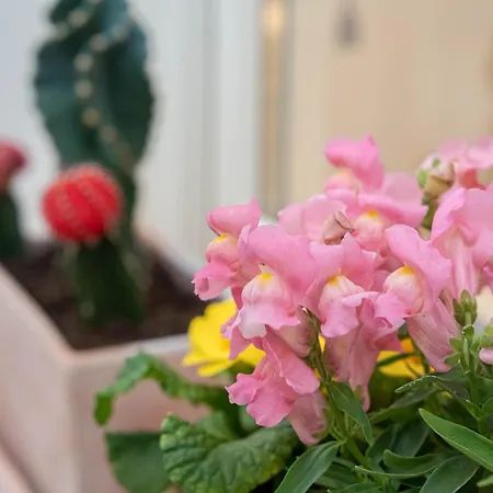 Hotel 5 Sentidos Ciutadella (Menorca)