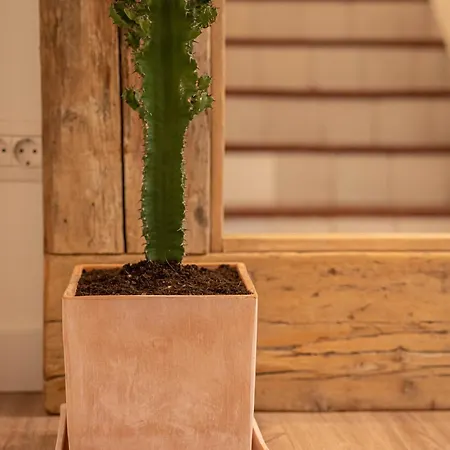 5 Sentidos ホテル